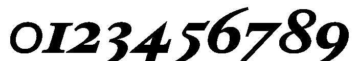 RomainduRoiItalicVAR BlackItalic Instance Font OTHER CHARS