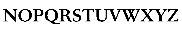 RomainduRoiVAR Bold Instance Font UPPERCASE