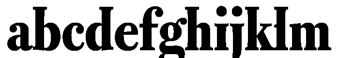 RomainduRoiVAR ExtraCondensedBlack Instance FONT