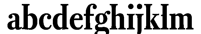 RomainduRoiVAR ExtraCondensedBold Instance FONT