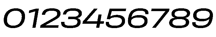 Rooftop WideBookItalic Font OTHER CHARS