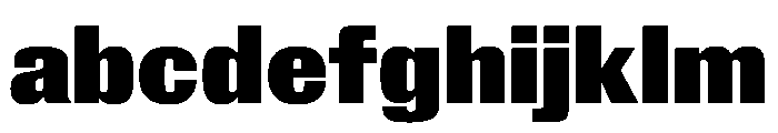 Royal Gothic Black FONT