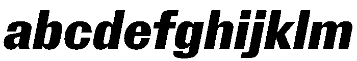 Royal Gothic Bold Italic FONT