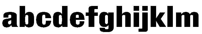 Royal Gothic Bold FONT
