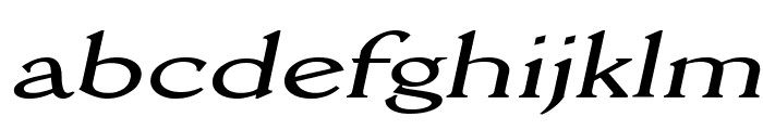 Rory Extended Italic Font LOWERCASE