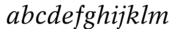 RotationLTStd-Italic Font LOWERCASE