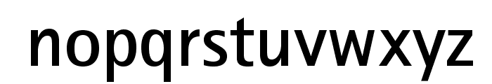 RotisSansSerifStd-Bold Font LOWERCASE