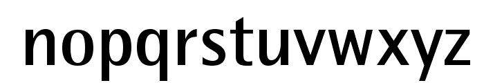 RotisSemiSansStd-Bold Font LOWERCASE