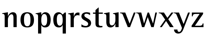 RotisSemiSerifStd-Bold Font LOWERCASE