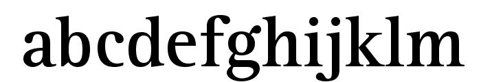 RotisSerifStd-Bold Font LOWERCASE