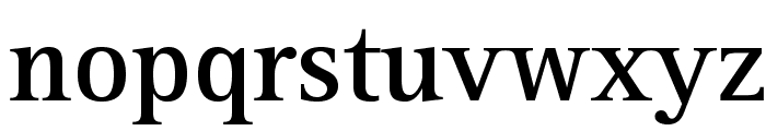 RotisSerifStd-Bold Font LOWERCASE
