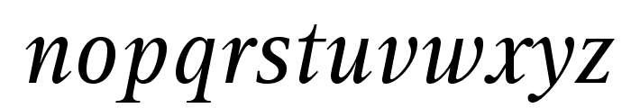 RotisSerifStd-Italic Font LOWERCASE