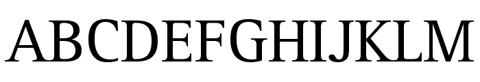 RotisSerifStd Font UPPERCASE