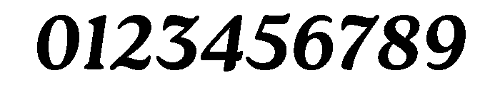 Roca Bold Italic Font OTHER CHARS