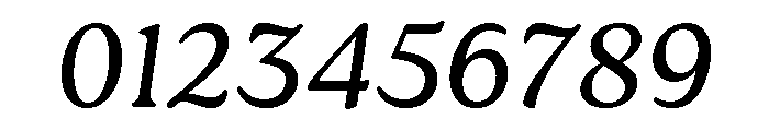 Roca Light Italic Font OTHER CHARS