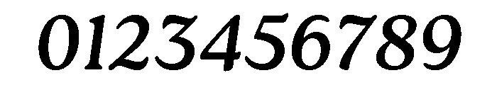 Roca Regular Italic Font OTHER CHARS