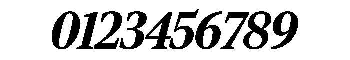 Rocky Condensed Black Italic Font OTHER CHARS