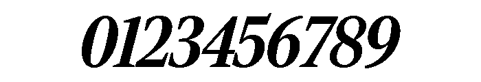 Rocky Condensed Bold Italic Font OTHER CHARS