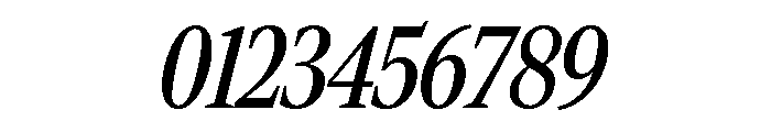 Rocky Condensed Regular Italic Font OTHER CHARS