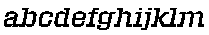 Roster Regular Italic FONT