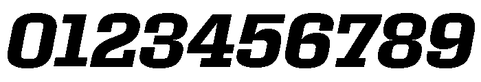 Roster Semi Bold Italic Font OTHER CHARS