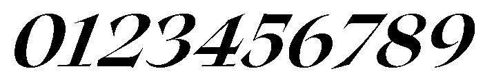 Roxborough Heavy Italic Font OTHER CHARS