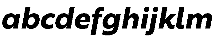 RSTBrother BoldItalic Instance FONT