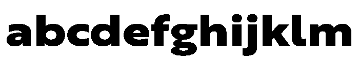 RSTBrother ExpBlack Instance FONT
