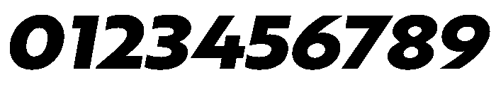 RSTBrother ExpBlackItalic Instance Font OTHER CHARS