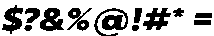 RSTBrother ExpBlackItalic Instance Font OTHER CHARS