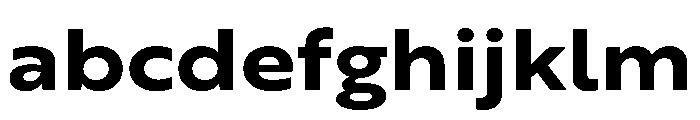 RSTBrother ExpBold Instance FONT