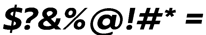 RSTBrother ExpBoldItalic Instance Font OTHER CHARS