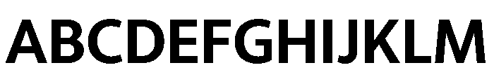 RSTLibertad Bold Instance Font UPPERCASE