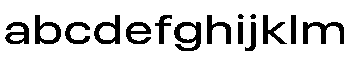 RSTReactor ExpMedium Instance FONT