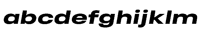 RSTReactor XExpBoldItalic Instance FONT