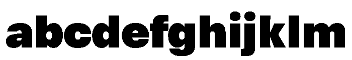 RSTReactorSans Black Instance FONT