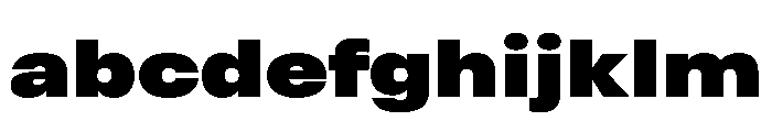 RSTReactorSans ExpBlack Instance FONT