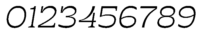 RSTSilvestre BluntLightItalic Instance Font OTHER CHARS
