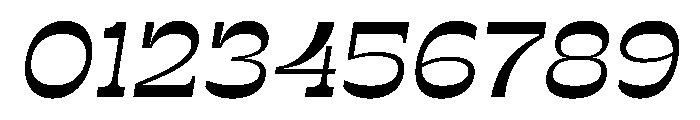 RSTSilvestre BluntRegularItalic Instance Font OTHER CHARS