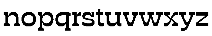 RSTSilvestre SolidMedium Instance Font LOWERCASE