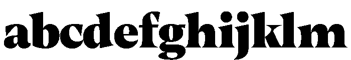 RSTThermal BlackDisplay Instance FONT