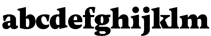 RSTThermal BlackText Instance FONT