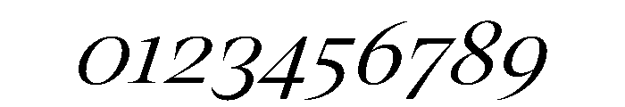 RSTThermal LightDisplayItalic Instance Font OTHER CHARS