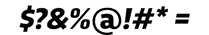 RSTTrasandina BoldItalic Instance Font OTHER CHARS