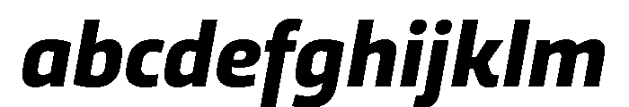 RSTTrasandina BoldItalic Instance FONT