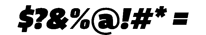 RSTTrasandina UltraItalic Instance Font OTHER CHARS
