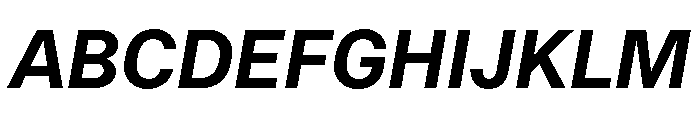 RT Dromo Bold Italic Font UPPERCASE