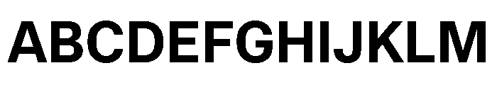 RT Dromo Bold Font UPPERCASE