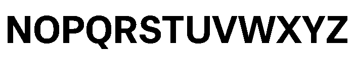 RT Dromo Bold Font UPPERCASE