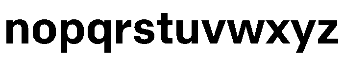 RT Dromo Bold Font LOWERCASE
